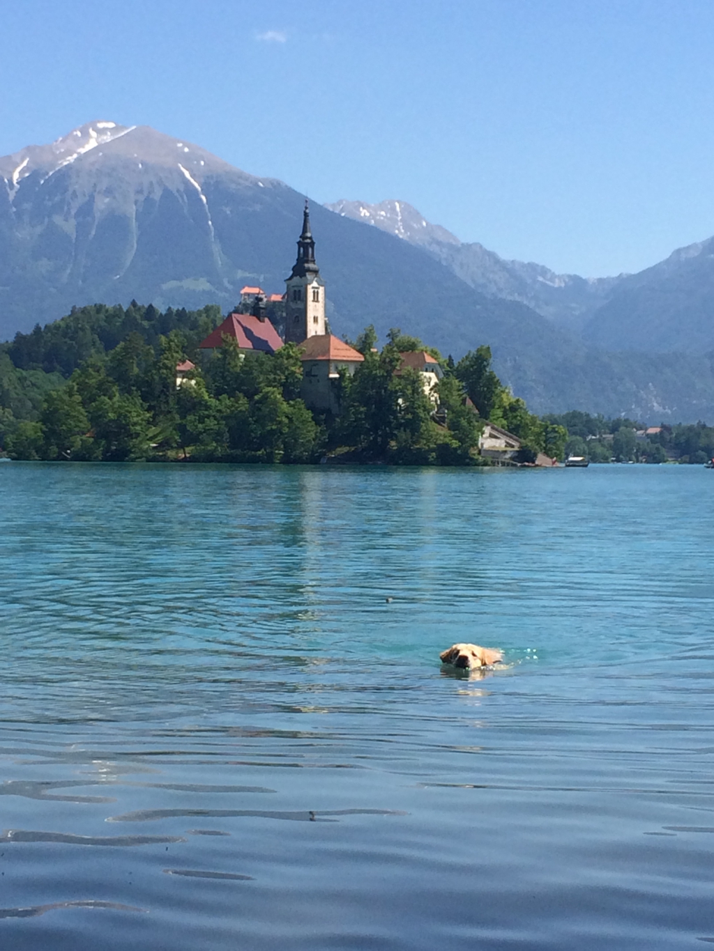Swimming on Lake Bled