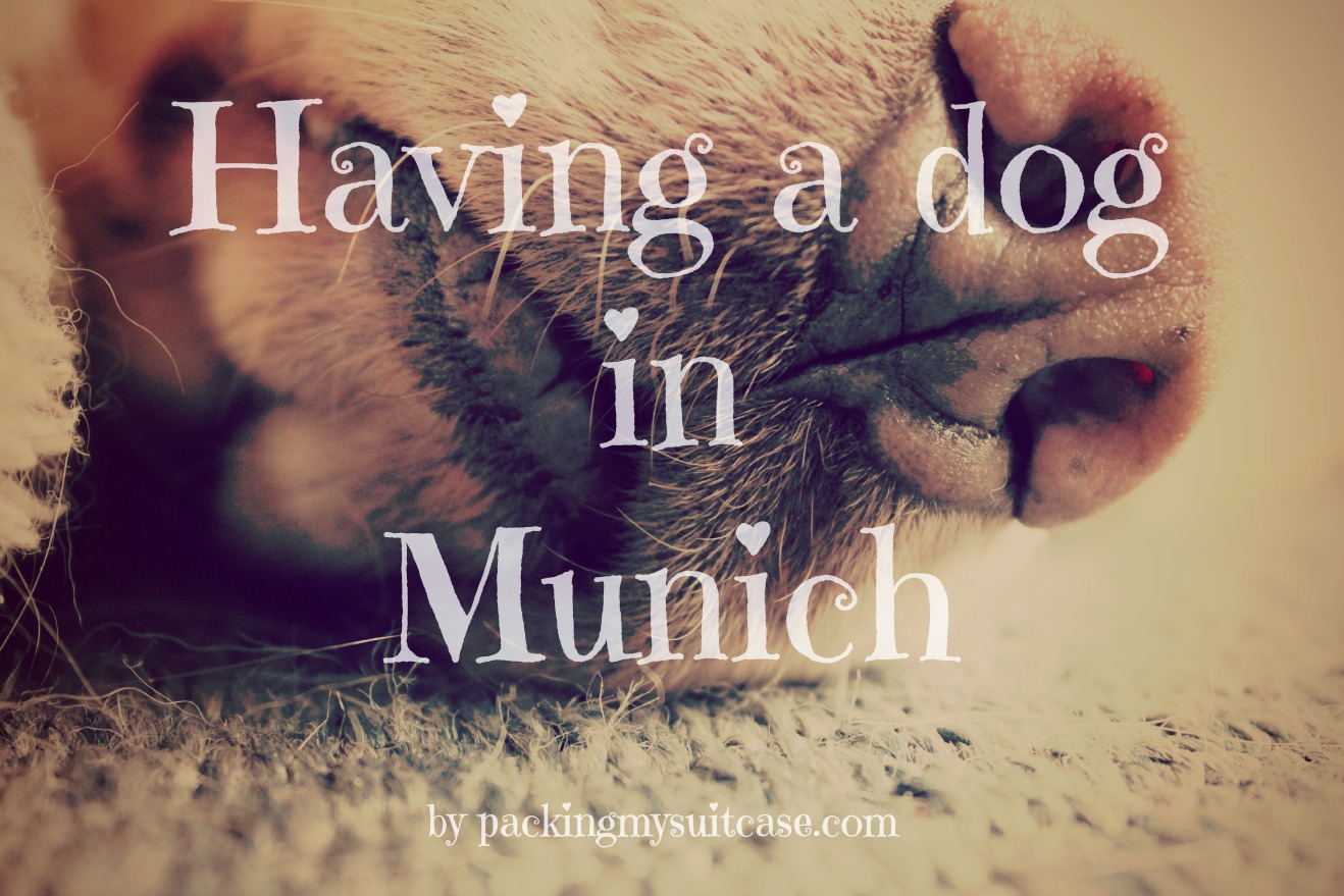 Having a dog in Munich, by Packing my Suitcase