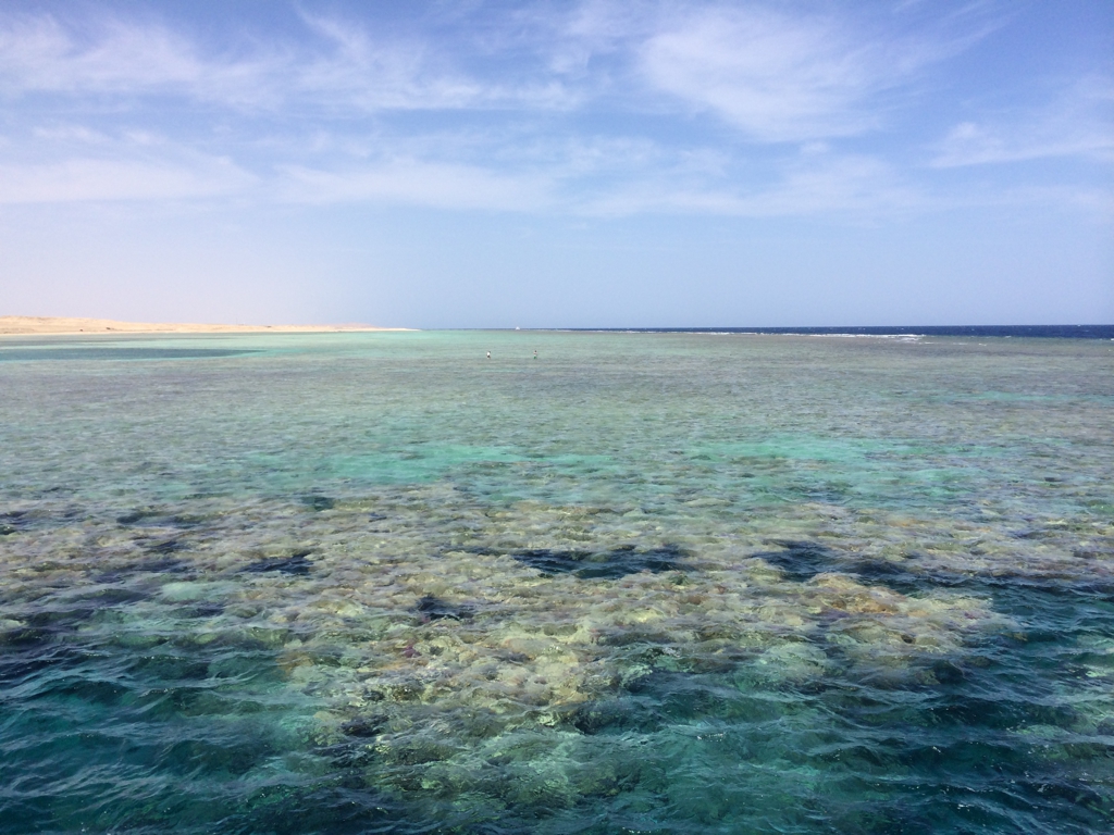 Top Dive Sites in Marsa Alam, by Packing my Suitcase