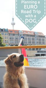 Planning a road trip around Europe with a dog