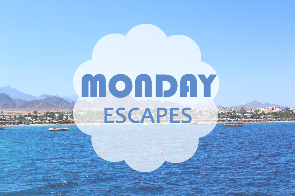 Monday Escapes #6