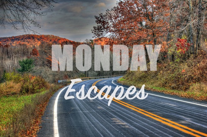 Monday Escapes #15
