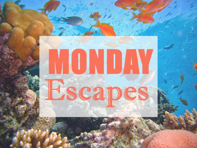 Monday Escapes #14
