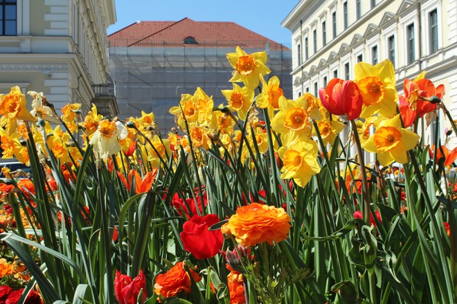 Spring in Munich
