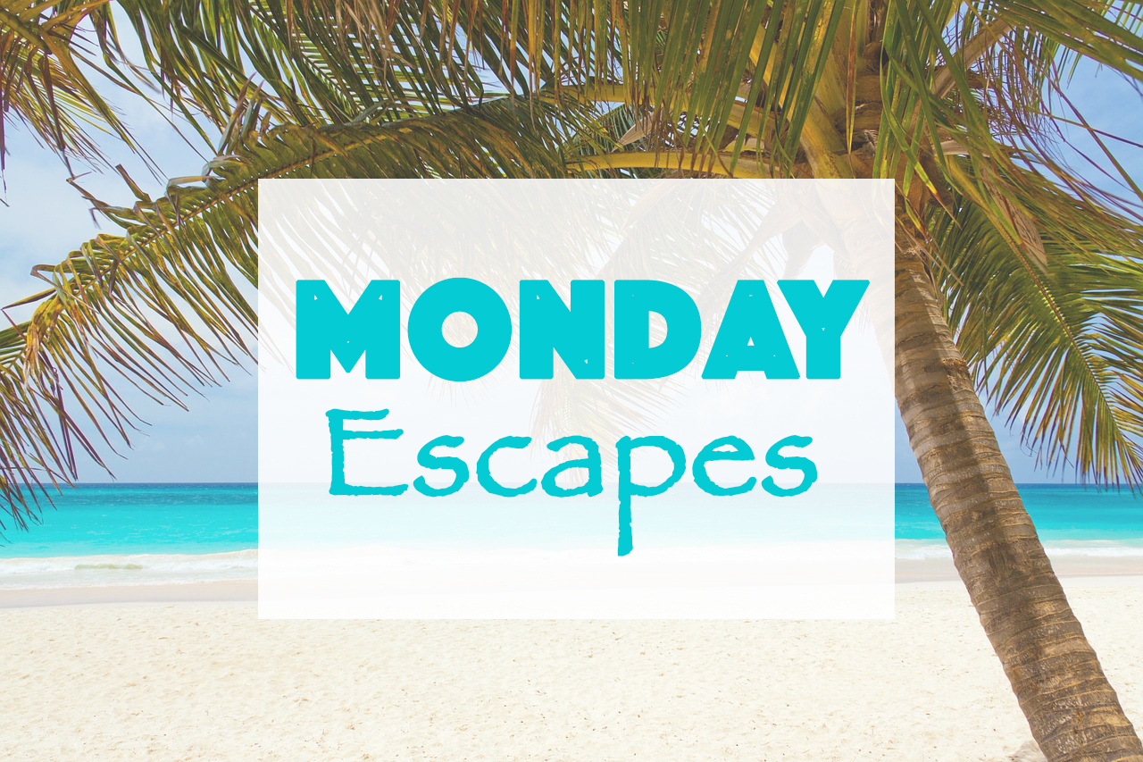 Monday Escapes #22
