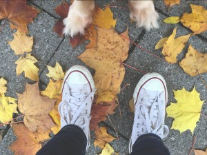 Shoes and dog