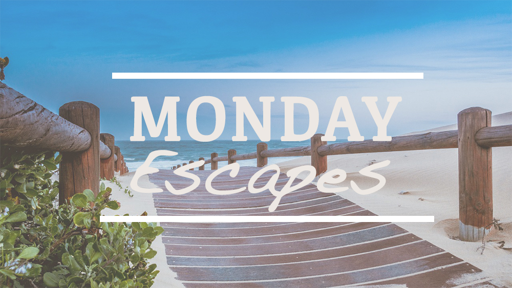 Monday Escapes #28