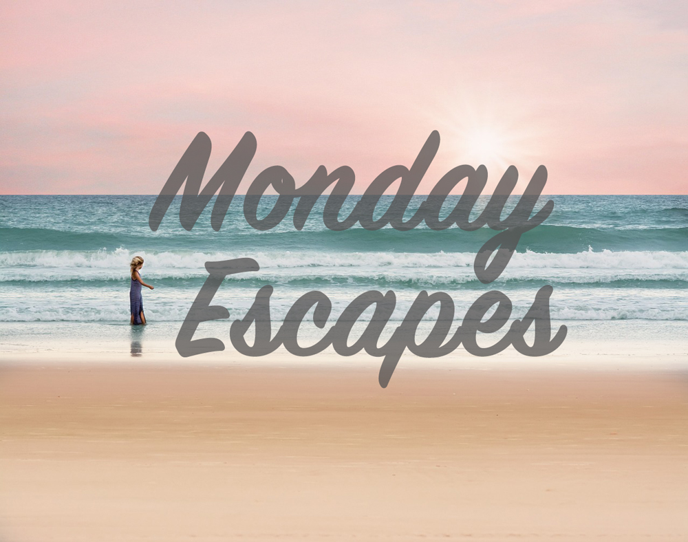 Monday Escapes #37
