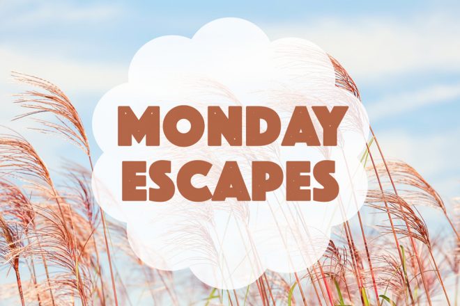 Monday Escapes #40