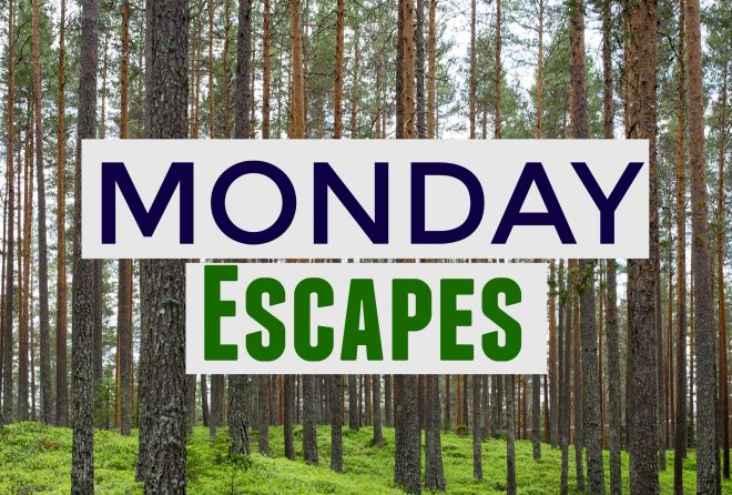 Monday Escapes #42