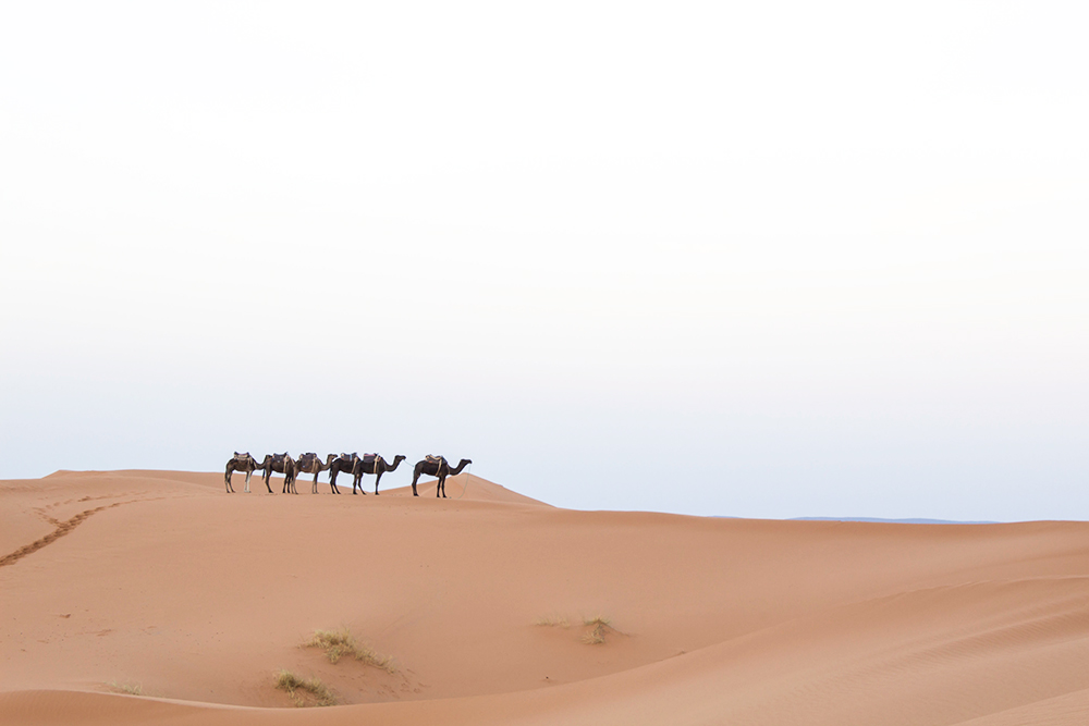 Merzouga, Sahara Desert, Morocco