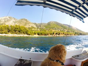 Croatia with a dog