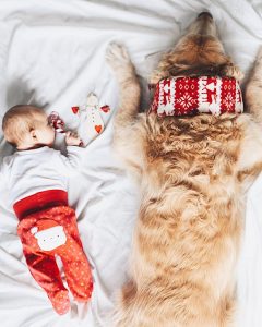 newborn and dog Christmas