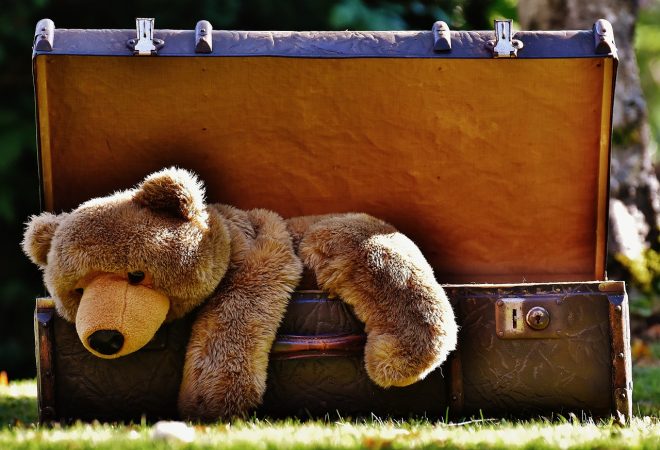 Luggage teddy bear
