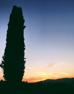 Sunset Tuscany Italy