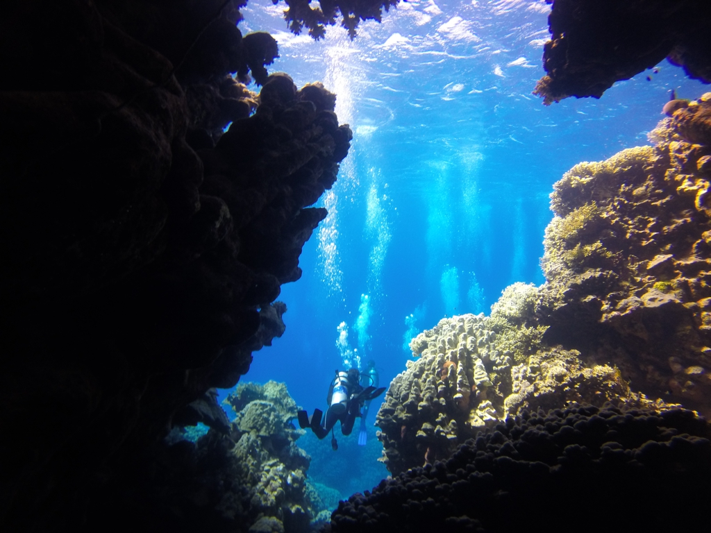 Top Dive Sites in Marsa Alam, Egypt