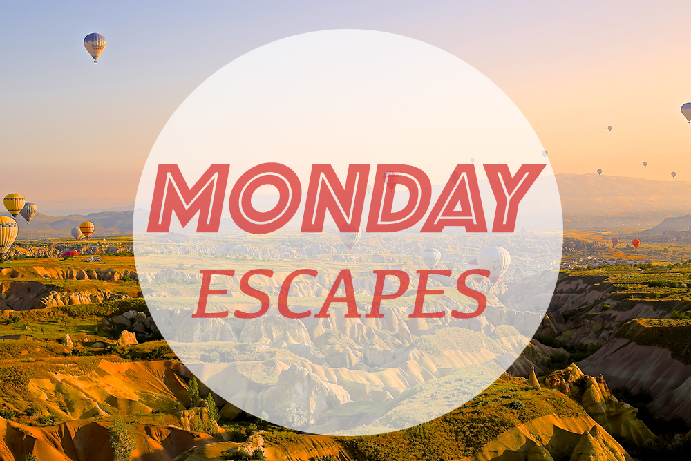 Monday Escapes #10