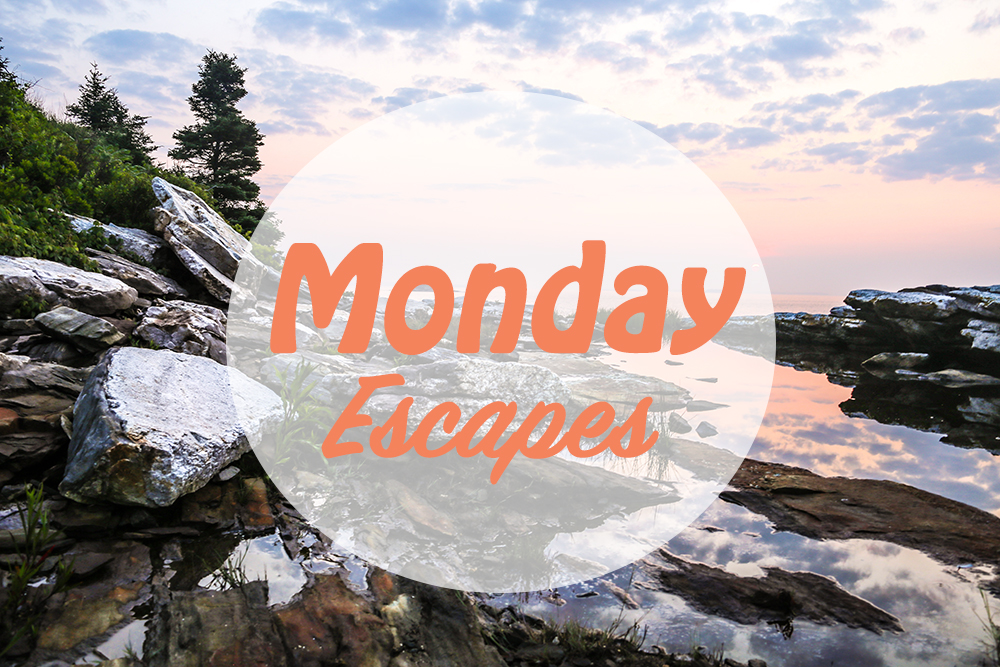 Monday Escapes #12