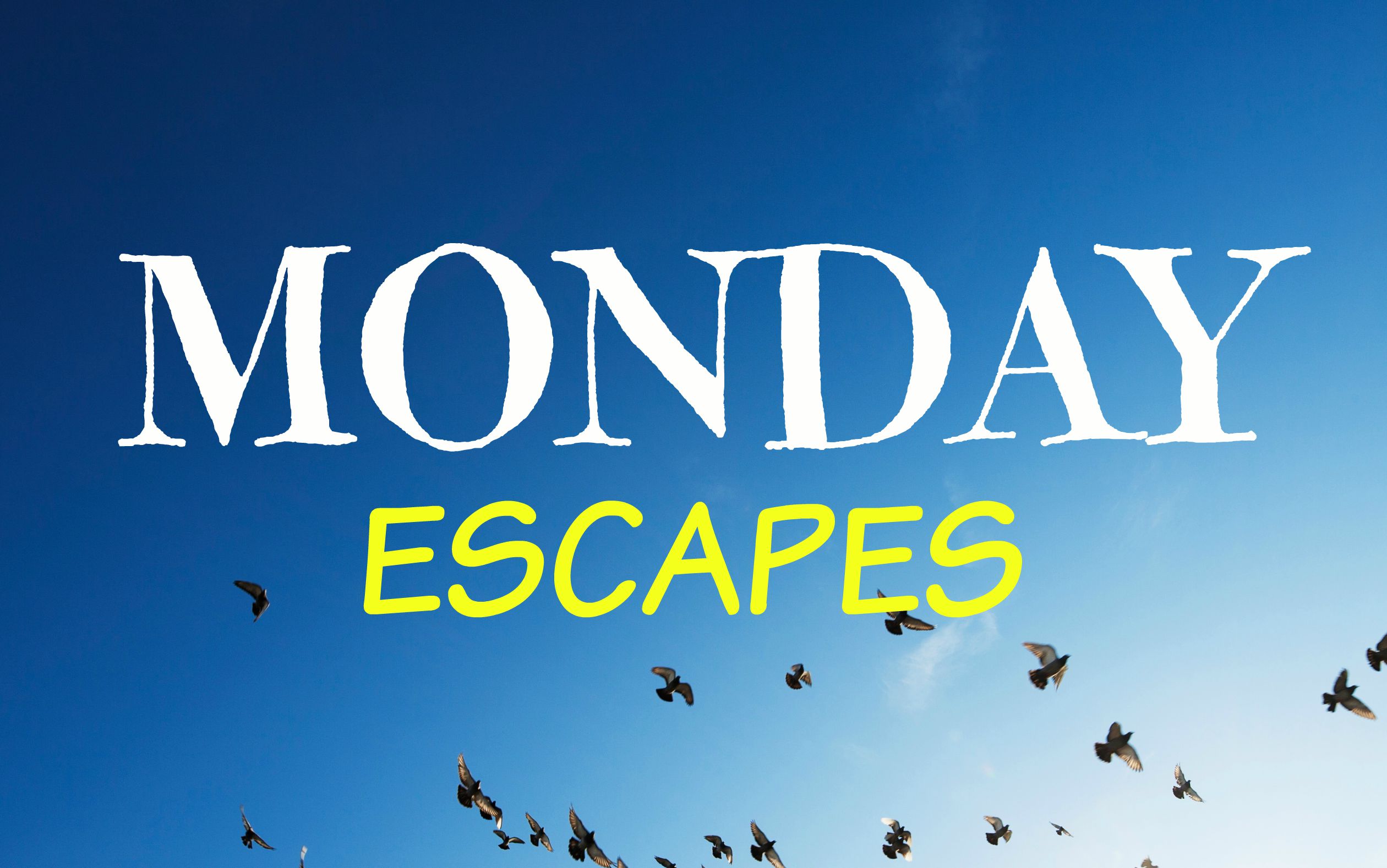 Monday Escapes #18